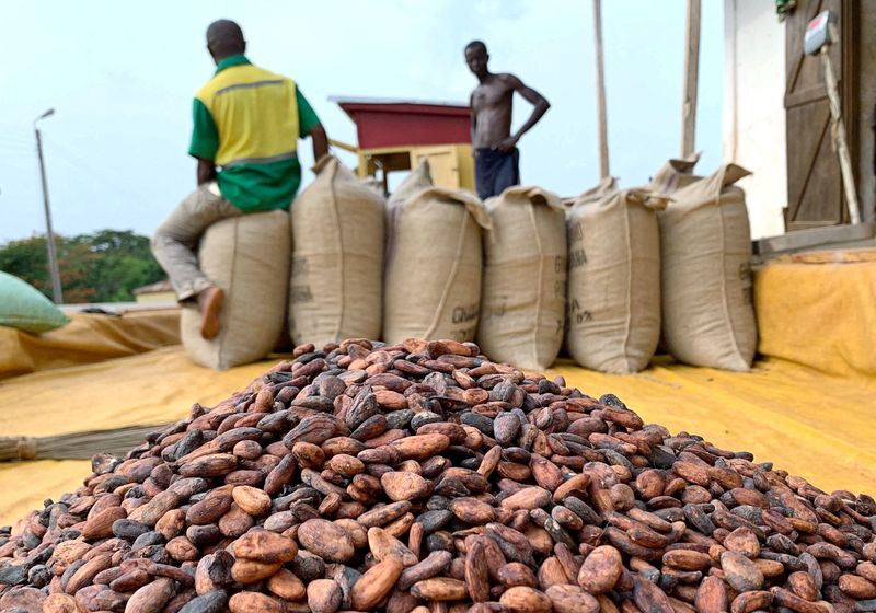 How a hedge fund exodus reshaped global cocoa markets